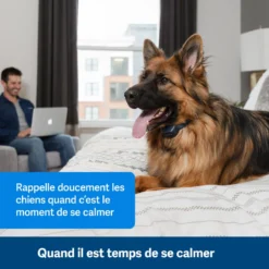 PetSafe ANTI ABOIEMENT SONORE RECHARGEABLE -Magasin Woolpower anti aboiement sonore rechargeable 2