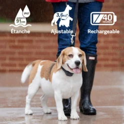 PetSafe ANTI ABOIEMENT SONORE RECHARGEABLE -Magasin Woolpower anti aboiement sonore rechargeable 3