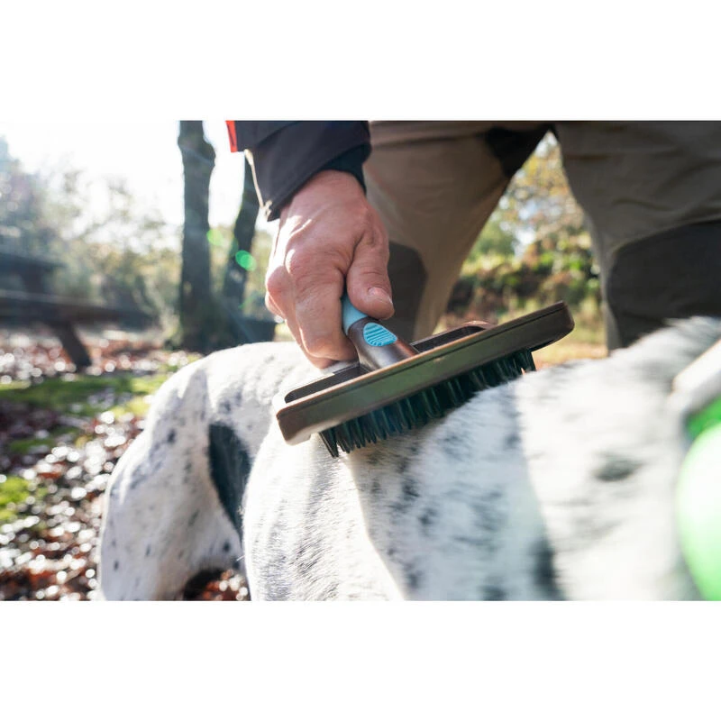 BROSSE DE MASSAGE POUR CHIEN No Brand BROSSE DE MASSAGE POUR CHIEN -Magasin Woolpower brosse de massage pour chien 3