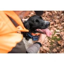 Collier Anti-aboiement Pour Chien Num'axes Canicalm Premium -Magasin Woolpower collier anti aboiement pour chien numaxes canicalm premium 2