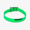 Collier Chien Vert Fluo 500
