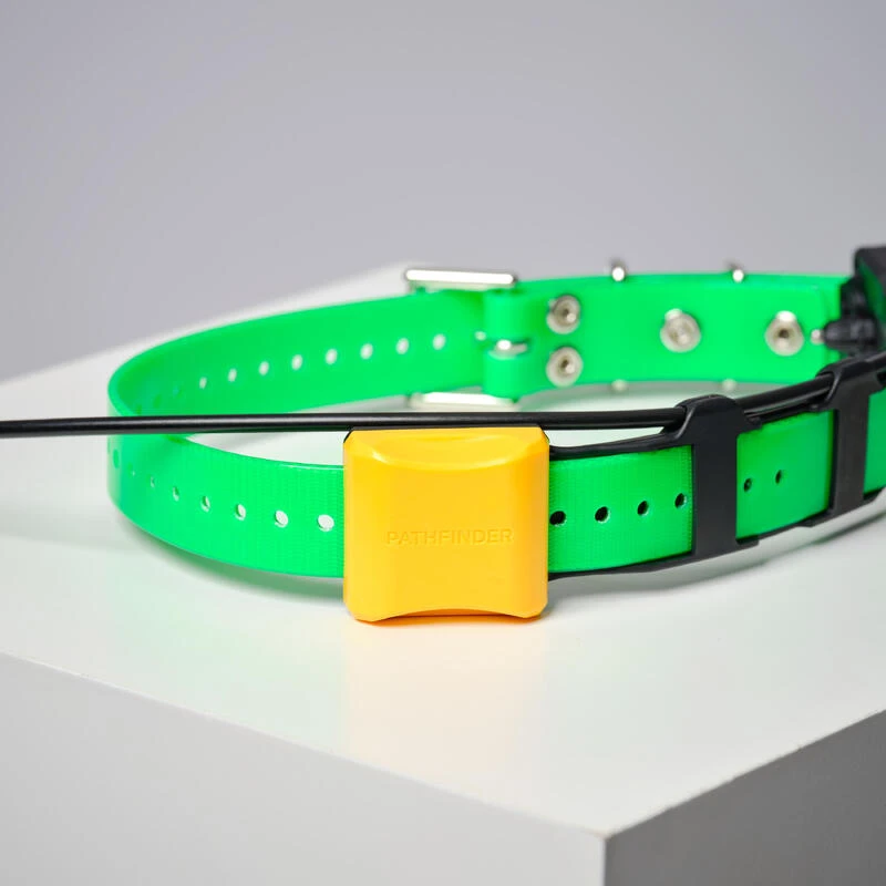 COLLIER SUPPLEMENTAIRE REPERAGE & DRESSAGE DOGTRA PATHFINDER V2. COLLIER SUPPLEMENTAIRE REPERAGE & DRESSAGE DOGTRA PATHFINDER V2. -Magasin Woolpower collier supplementaire reperage and dressage dogtra pathfinder v2 6