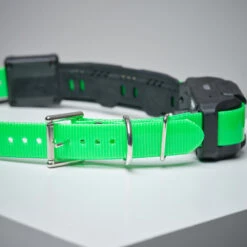 Collier Supplémentaire Repérage Et Dressage Pour Chien Dogtra Pathfinder 2 Collier Supplémentaire Repérage Et Dressage Pour Chien Dogtra Pathfinder -Magasin Woolpower collier supplementaire reperage et dressage pour chien dogtra pathfinder 2