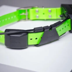 Collier Supplémentaire Repérage Et Dressage Pour Chien Garmin TT15X -Magasin Woolpower collier supplementaire reperage et dressage pour chien garmin tt15x 5