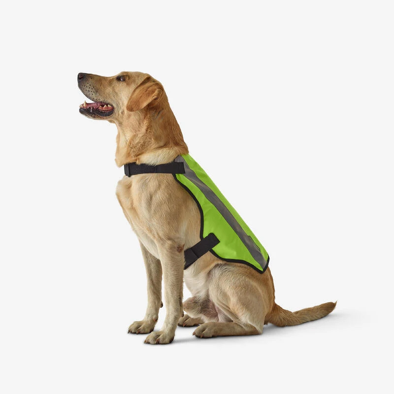 GILET CHIEN CHASSE JAUNE 100 GILET CHIEN CHASSE JAUNE 100 -Magasin Woolpower gilet chien chasse jaune 100 1