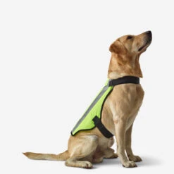 GILET CHIEN CHASSE JAUNE 100 2 GILET CHIEN CHASSE JAUNE 100 -Magasin Woolpower gilet chien chasse jaune 100 2
