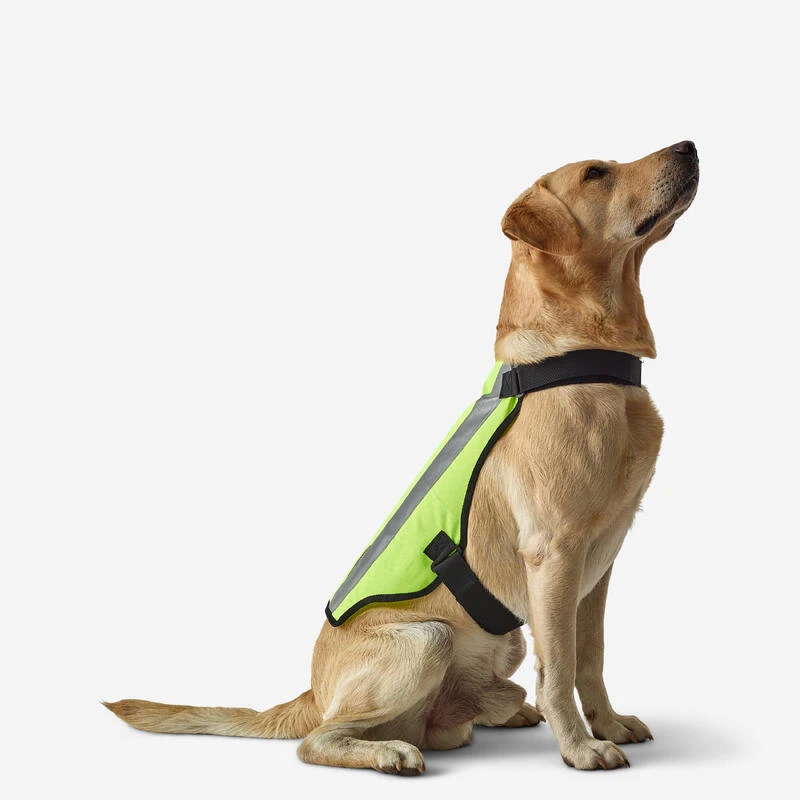 GILET CHIEN CHASSE JAUNE 100 GILET CHIEN CHASSE JAUNE 100 -Magasin Woolpower gilet chien chasse jaune 100 2