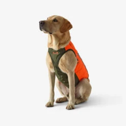Gilet De Protection Pour Chien Supertrack -Magasin Woolpower gilet de protection pour chien supertrack 3