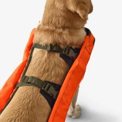 Gilet De Protection Pour Chien Supertrack -Magasin Woolpower gilet de protection pour chien supertrack 4