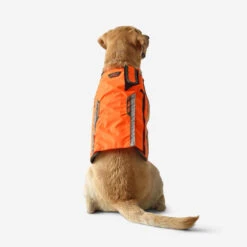 Gilet De Protection Pour Chien Supertrack -Magasin Woolpower gilet de protection pour chien supertrack 5