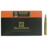 Munition RWS 9,3x62 Uni Classic 19g - 293 Grains RWSX20
