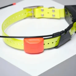 PACK COLLIER + TÉLÉCOMMANDE DE REPÉRAGE/DRESSAGE CHIEN GARMIN ALPHA 200 T5X -Magasin Woolpower pack collier telecommande de reperagedressage chien garmin alpha 200 t5x 7